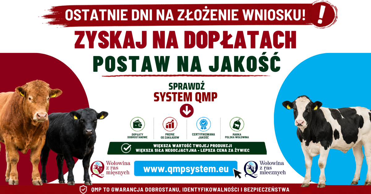 Plakat - Dodatkowe pieniądze dla hodowc&oacute;w z&nbsp;QMP