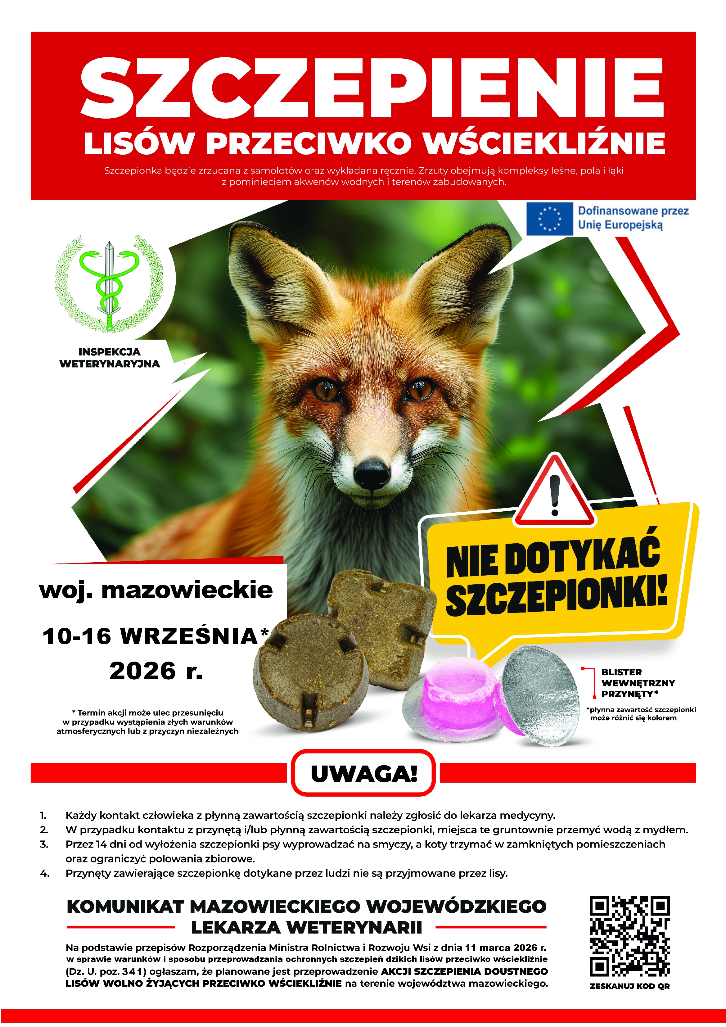Plakat - Szczepienie lis&oacute;w