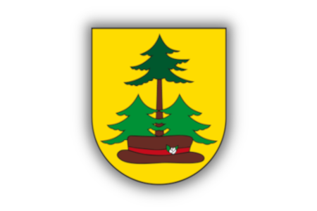 Zdjęcie do II SESJA RADY GMINY LELIS