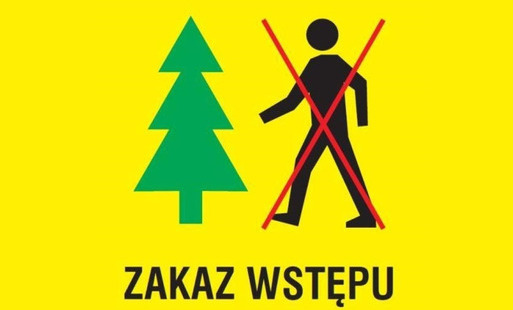 Zdjęcie do ZAKAZ WSTĘPU DO LASU