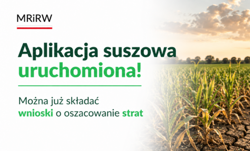 Aplikacja suszowa - informacja