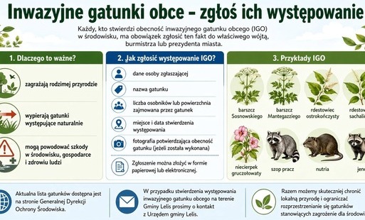 Inwazyjne gatunki obce - grafika