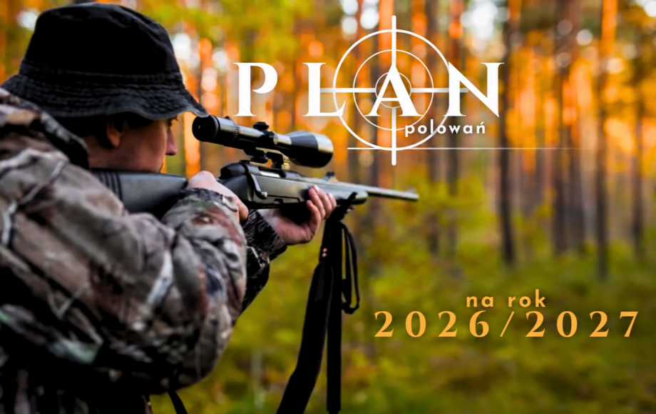 Plan polowań zbiorowych Koła Łowieckiego „ŚWIERK” w sezonie 2026/2027
